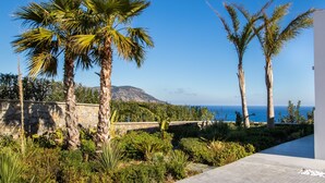 A landscaped garden with palm trees and a view of the ocean. - Istia Luxury Villas (Karpathos)