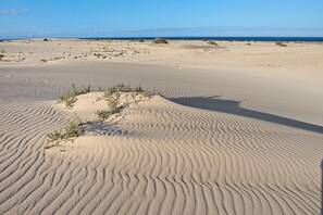 Tæt på stranden