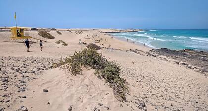 Ferienwohnung 'Dunes To Explore and Relax' mit Gemeinschaftspool, privater Terrasse und Wi-Fi