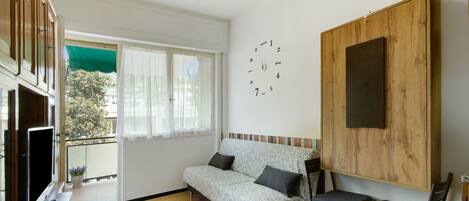 TV, video game console