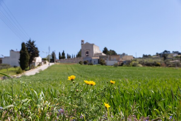 A rural landscape with a building, a field of flowers, and a clear sky.