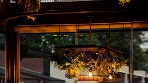 Een restaurant met een groot raam, houten meubels en hangplanten.