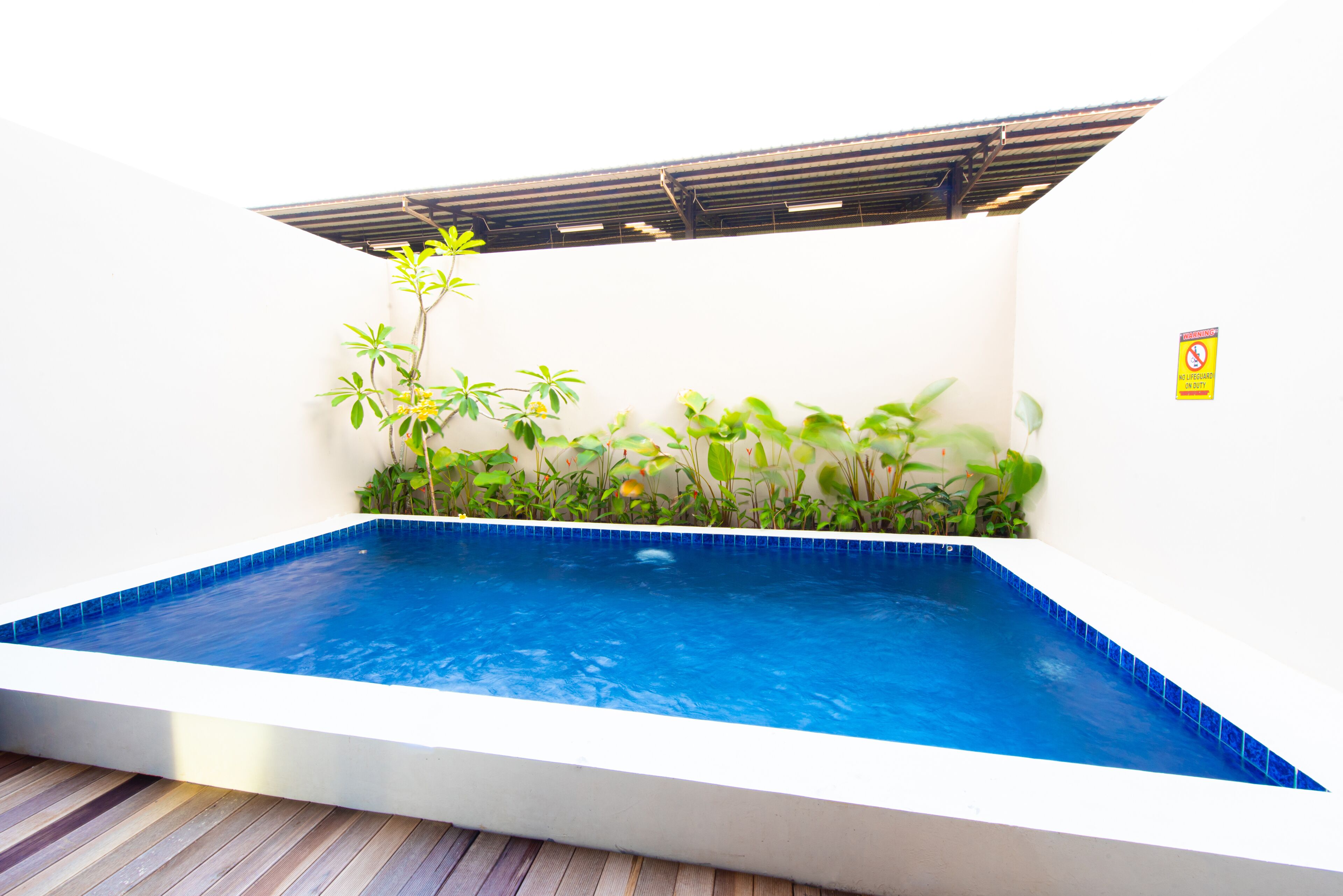 A rectangular indoor swimming pool with a blue tiled interior, surrounded by a wooden deck and various green plants.