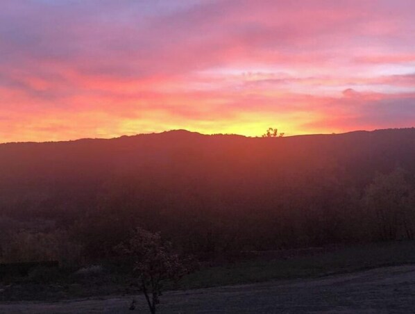 Un coucher de soleil sur un paysage vallonné, avec un seul arbre au premier plan.