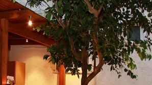 Un espace bar avec trois tabourets de bar blancs, des meubles en osier et un arbre.