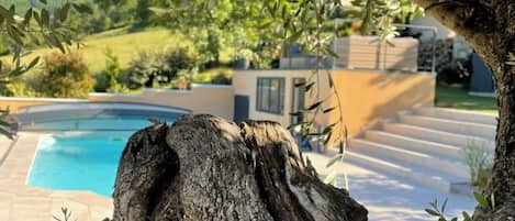A tree trunk in the foreground with a swimming pool in the background.