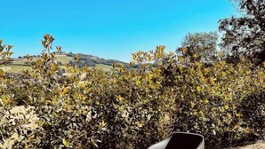 An outdoor seating area with two chairs and a small table, surrounded by gravel and plants. - Gîte le grand chacel (Sourcieux-les-Mines)