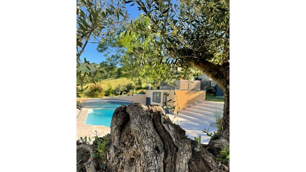 Un tronco de árbol en primer plano y una piscina al fondo.