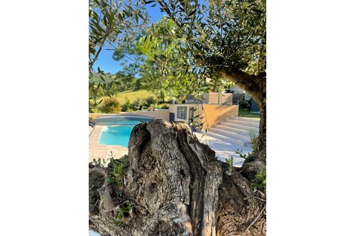 Le petit Chacel sourcieux / saint pierre