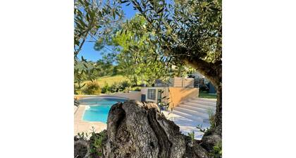 Le petit Chacel sourcieux / saint pierre