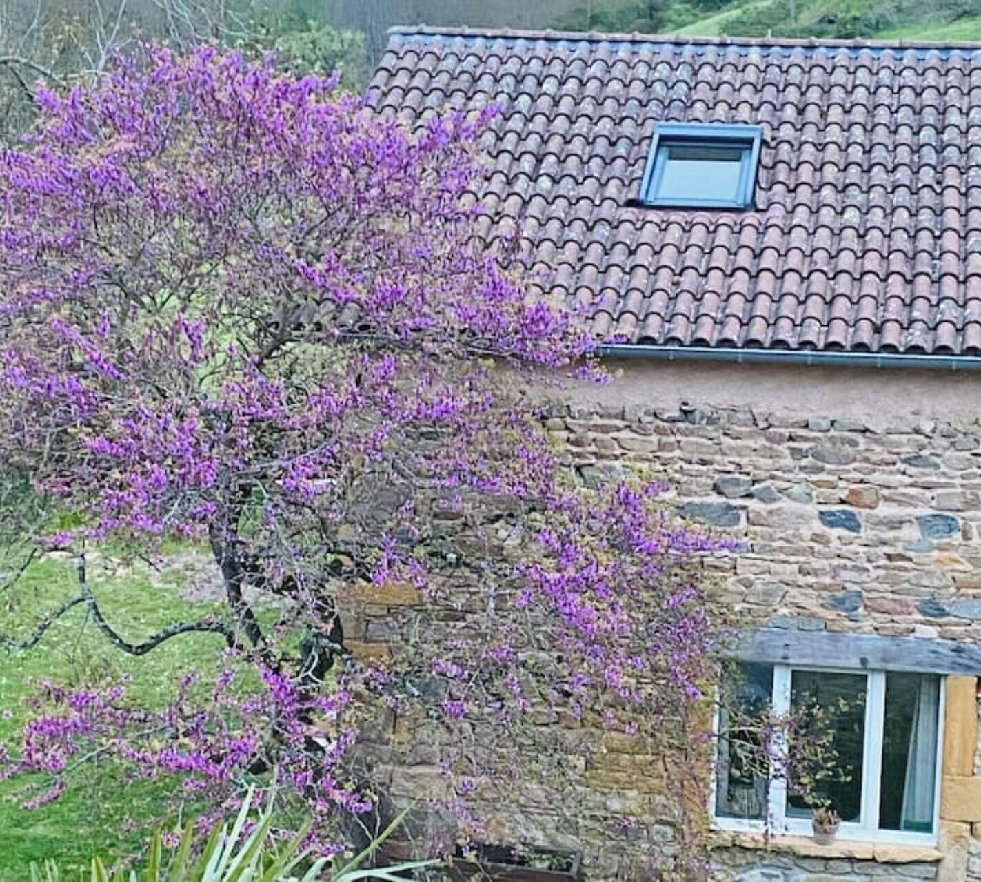 Un bâtiment en pierre avec un toit recouvert de tuiles et une petite fenêtre.