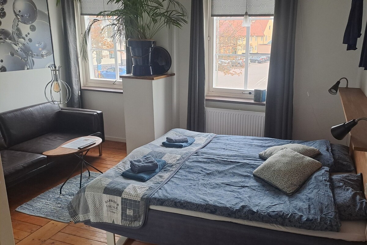 A compact bedroom with a bed, a small desk, a chair, a potted plant, and a view of the street through a window.