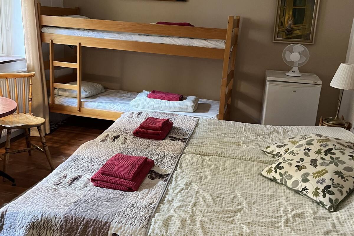 A bedroom with a bunk bed, a desk, a chair, a bedside table with a lamp, and a wall-mounted picture.