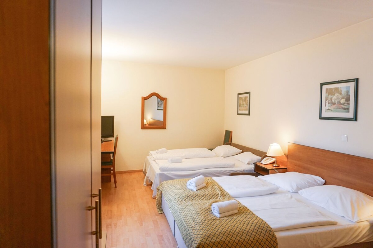 In-room safe, desk, laptop workspace, WiFi (free)