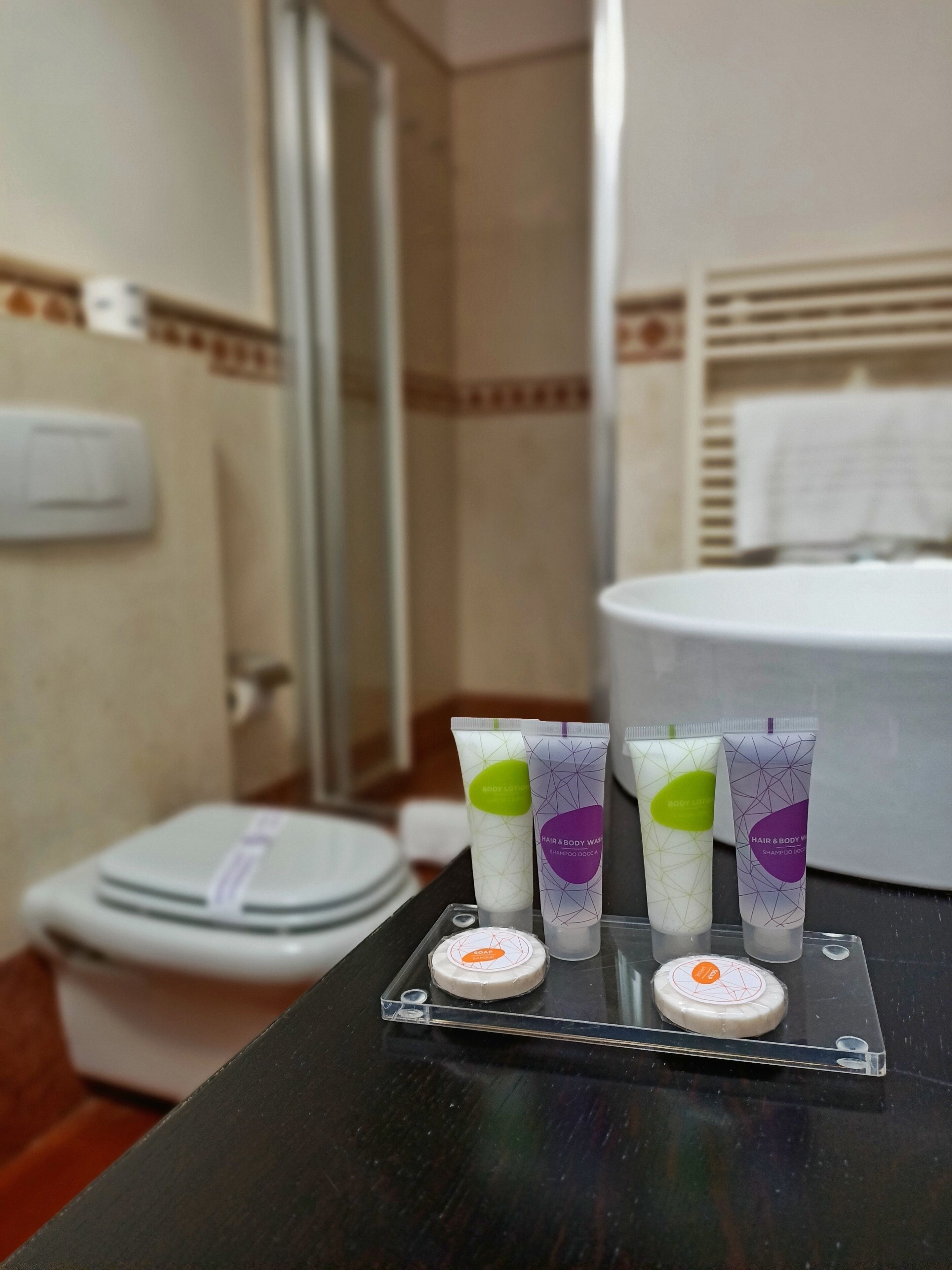 Ein Badezimmer mit Pflegeprodukten auf einem Tablett, einer Dusche und einer Toilette.