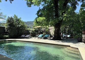 A pool area with lounge chairs and a large tree.