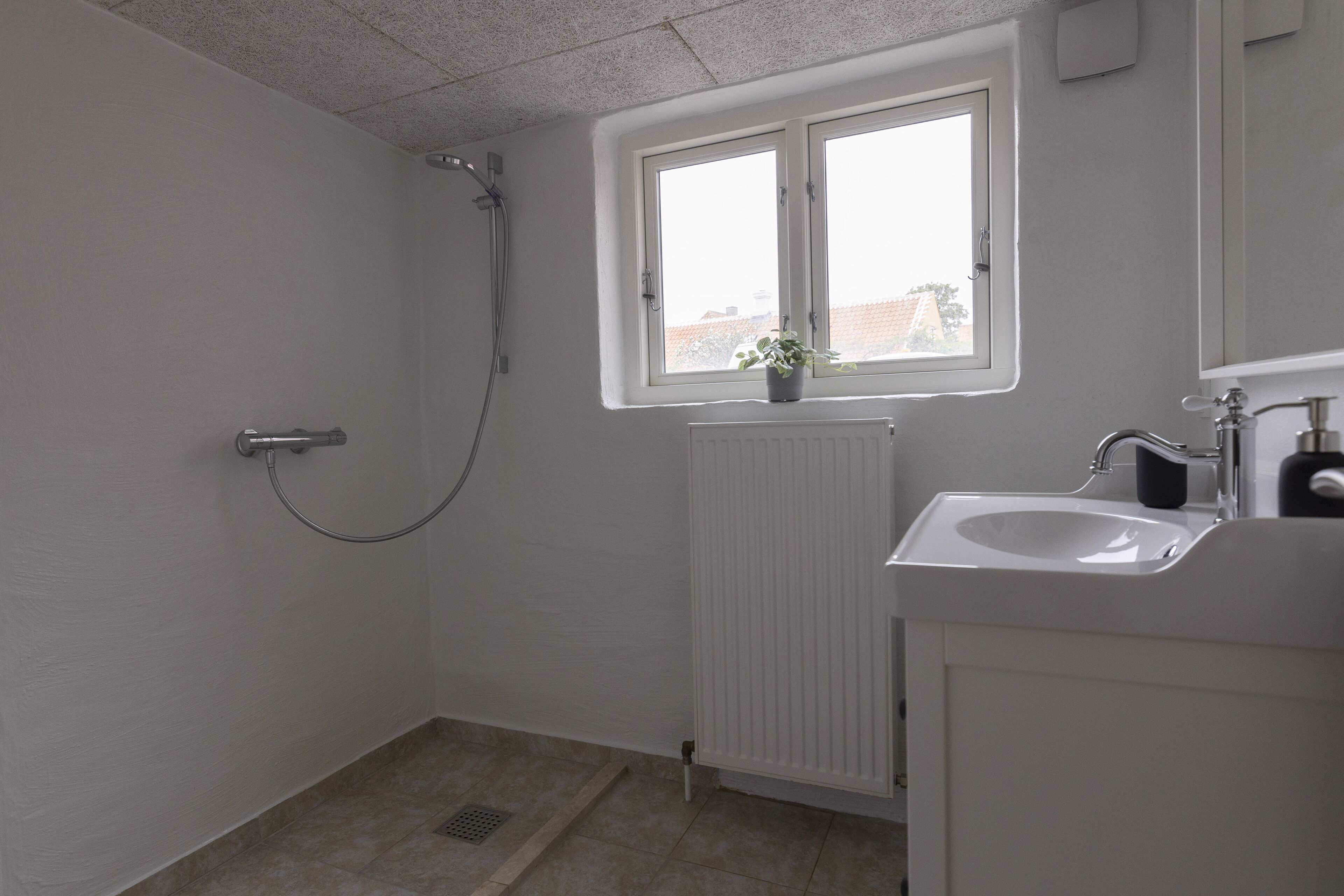 A bathroom with a shower, a sink, and a window with a plant.