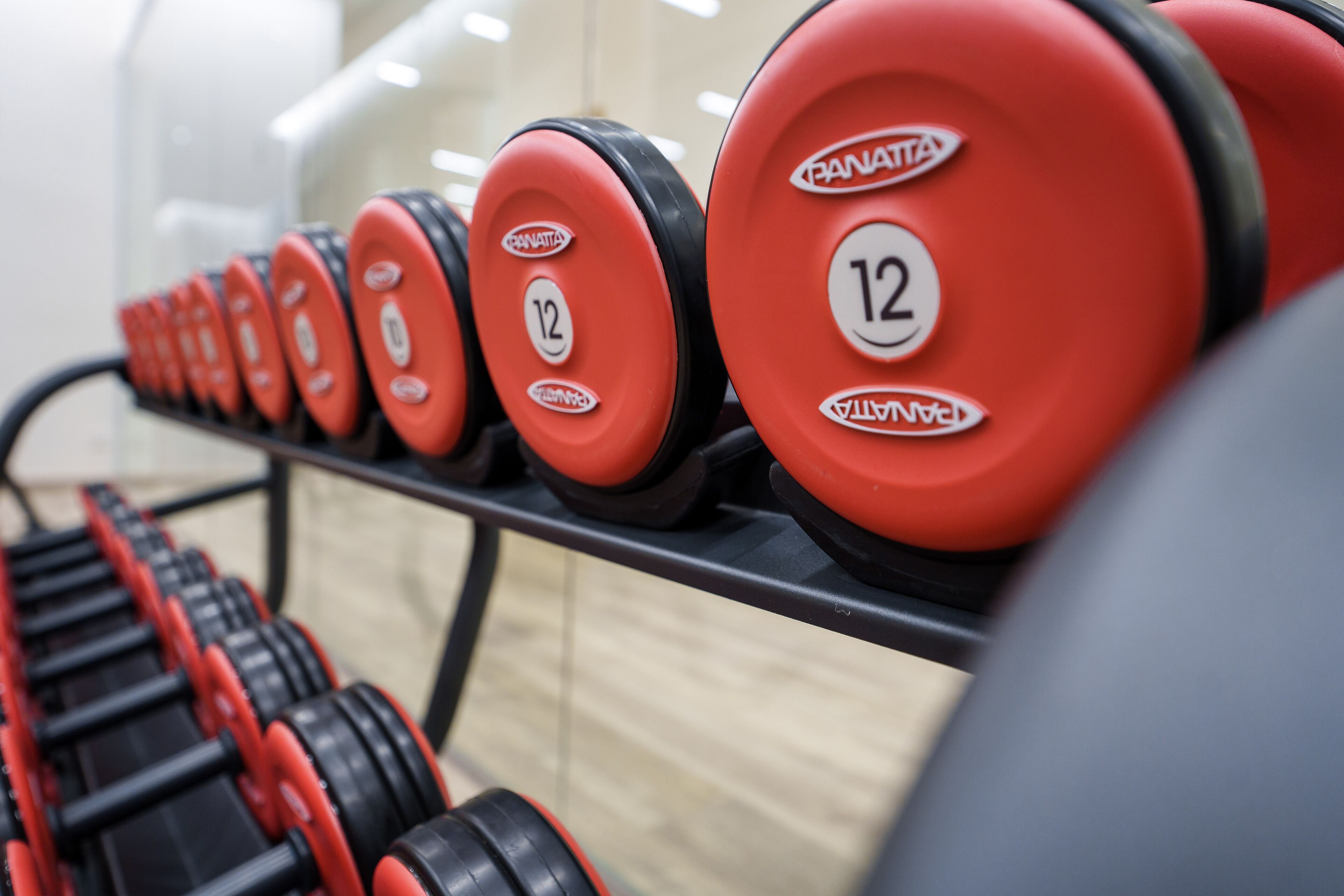 A row of red dumbbells with black handles and white number labels on a rack.