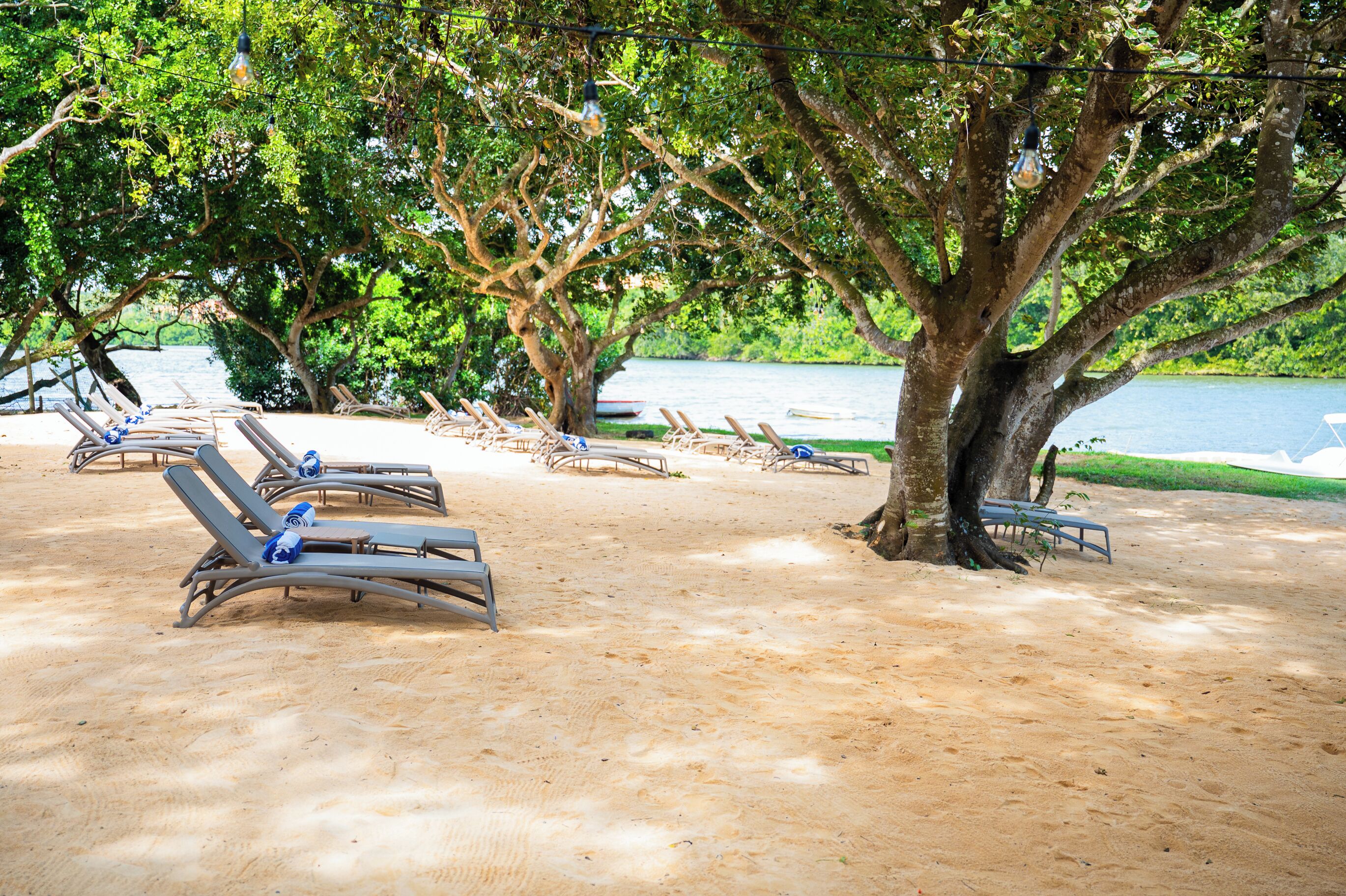 Une plage avec des transats sous un grand arbre, un bateau en arrière-plan et une rive sablonneuse.
