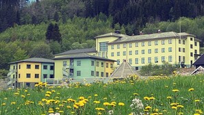 A multi-story building with a yellow and green facade, surrounded by a field of yellow flowers.