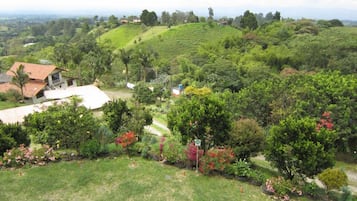 Vista al jardín