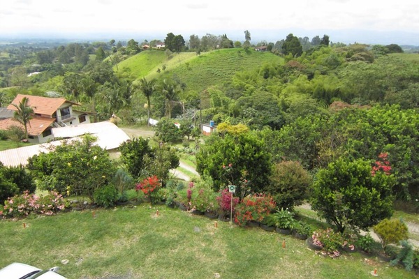 Garden view