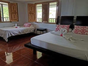 Individually furnished, free WiFi, bed sheets - Alojamiento Rural Bella Vista (Filandia)