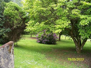 Áreas de la propiedad