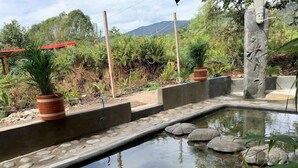Un tranquilo elemento acuático al aire libre con un sendero bordeado de piedra, plantas en macetas y un tronco de árbol esculpido.