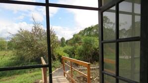 Un puente de madera que conduce a un jardín con diversas plantas y árboles.