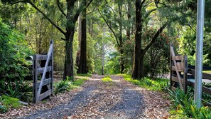 Overnattingsstedets uteområder