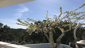 A balcony with a view of a tree with white blossoms, a white wall, and a metal railing. - Casa da Oliveira (Pedrógão Grande)