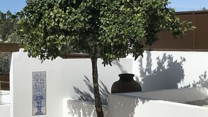 A tree in front of a white wall with a decorative tile and a large vase. - Casa da Oliveira (Pedrógão Grande)