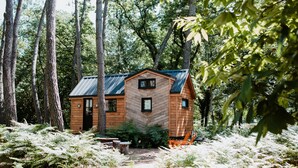 Una cabaña de madera con techo de metal, rodeada de helechos y árboles.