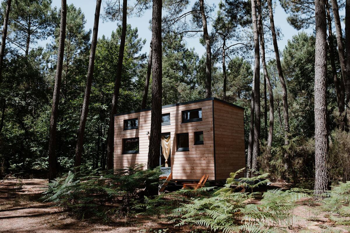 Una cabaña de madera en un bosque, con un sendero de tierra que la lleva hasta ella.