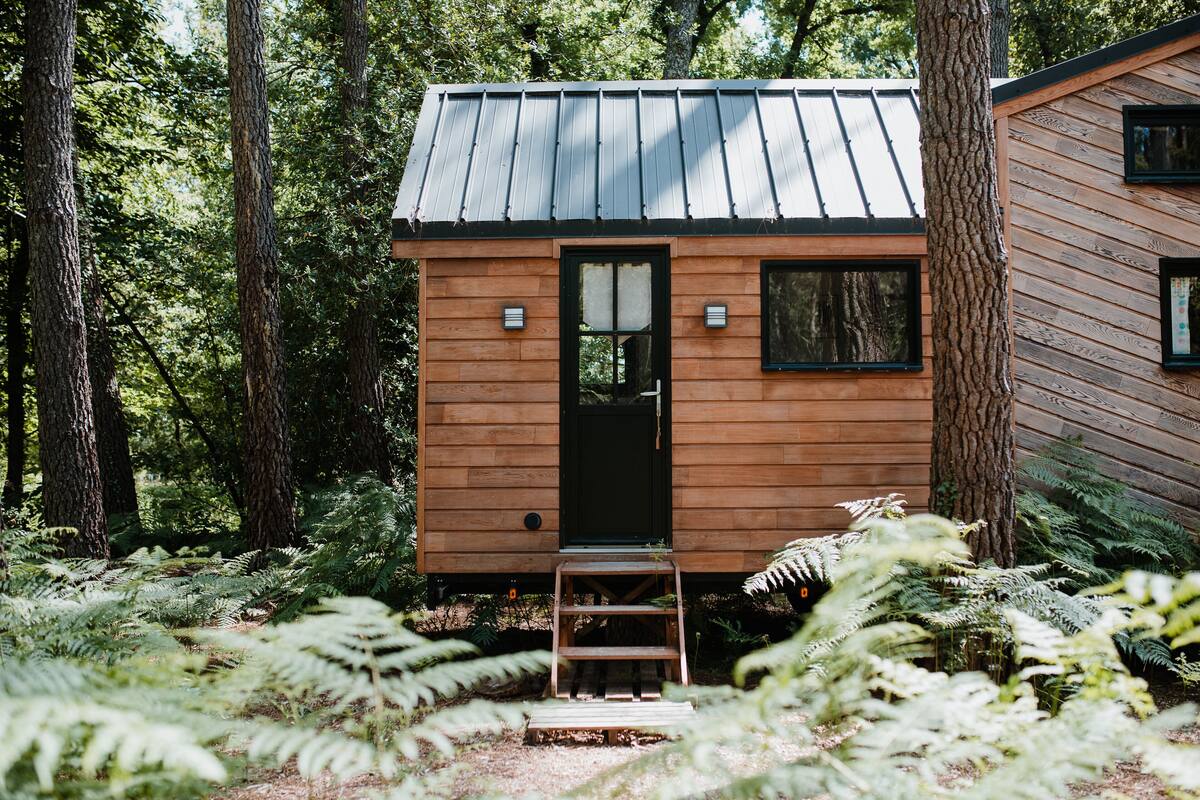 Una cabaña de madera con techo metálico, rodeada de un bosque denso y helechos.