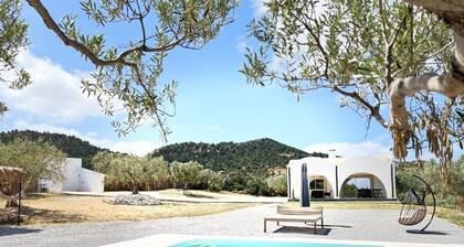 Between mountain and sea: dream home in Hammamet