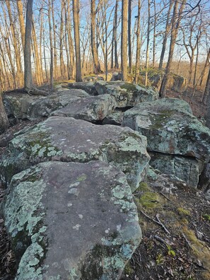 Un área boscosa con rocas grandes y árboles.