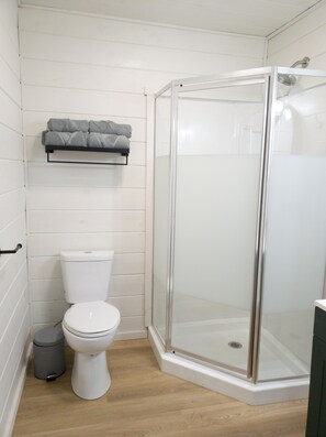 Shower, towels, soap, toilet paper