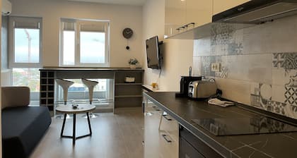 Beautiful Penthouse Lakeview W18