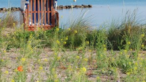 En strandstol med stribet betræk placeret på en sandet område med græs og vilde blomster.