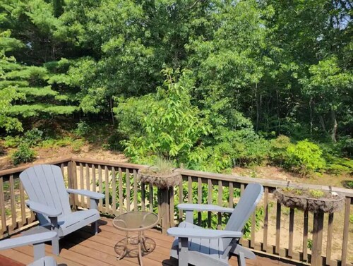 Blueberry Dune, south Holland close to Saugatuck