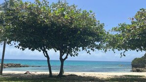 A beach with two trees, a clear sky, and the ocean in the background. - JARDIN TROPICAL - 2-bedroom apartment (Le Gosier)