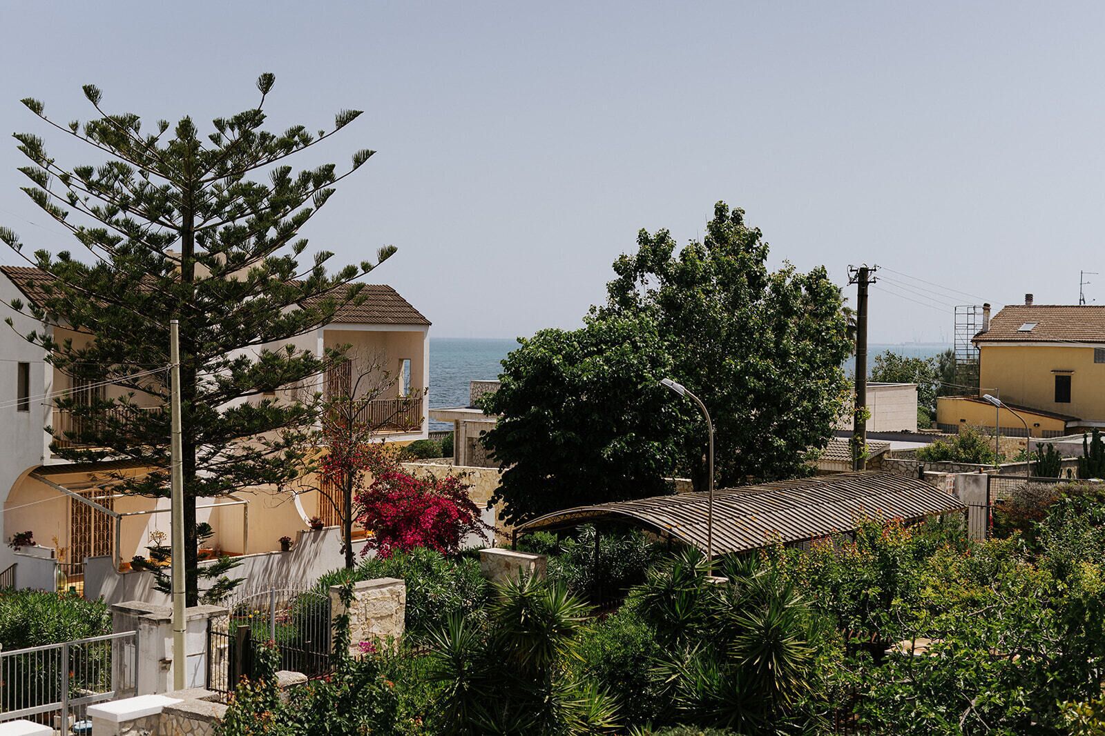 A coastal residential area with houses, a large tree, and a metal roof structure.