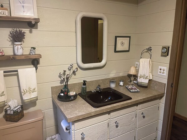 A bathroom with a wooden vanity, a sink, a mirror, and a toilet. There are towels, a soap dispenser, and a small plant on the vanity.