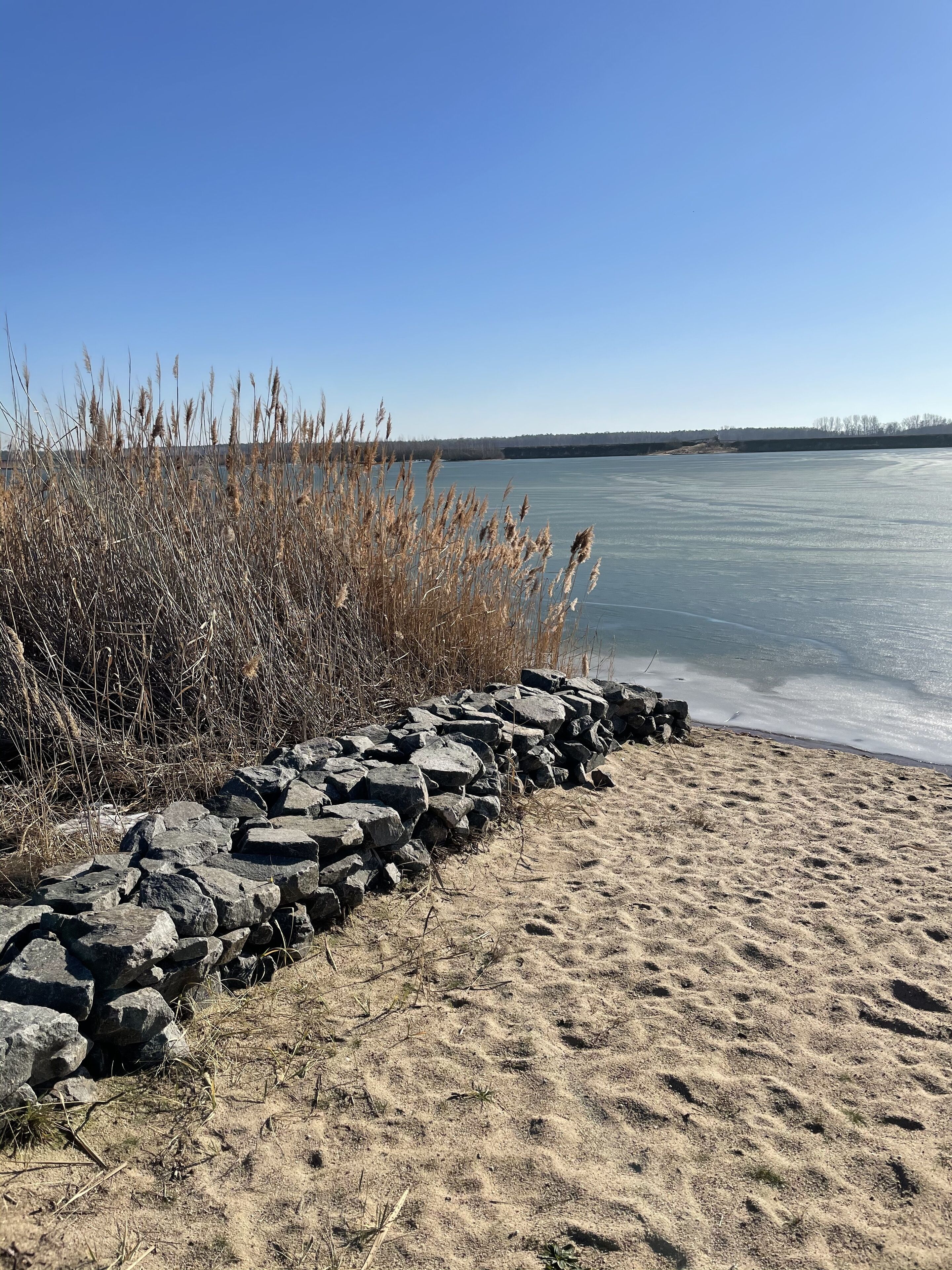 ビーチの近く、サンラウンジャー