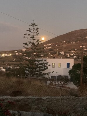 A coastal village with white buildings, a prominent white house with a blue door, and a tree in the foreground. - Penthouse studio overlooking Paroikia Bay! (Paros)