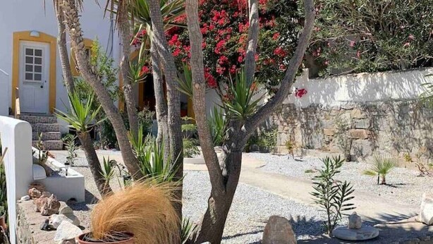 A stone wall with a potted plant, a palm tree, and red flowers. - Penthouse studio overlooking Paroikia Bay! (Paros)