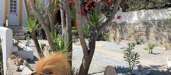 Quiet 2nd story studio overlooking the bay.