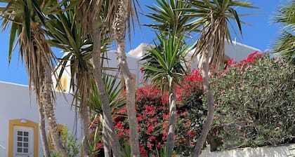 Quiet 2nd story studio overlooking the bay.